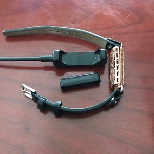 FitBit Flex 2 and Rose Gold Band